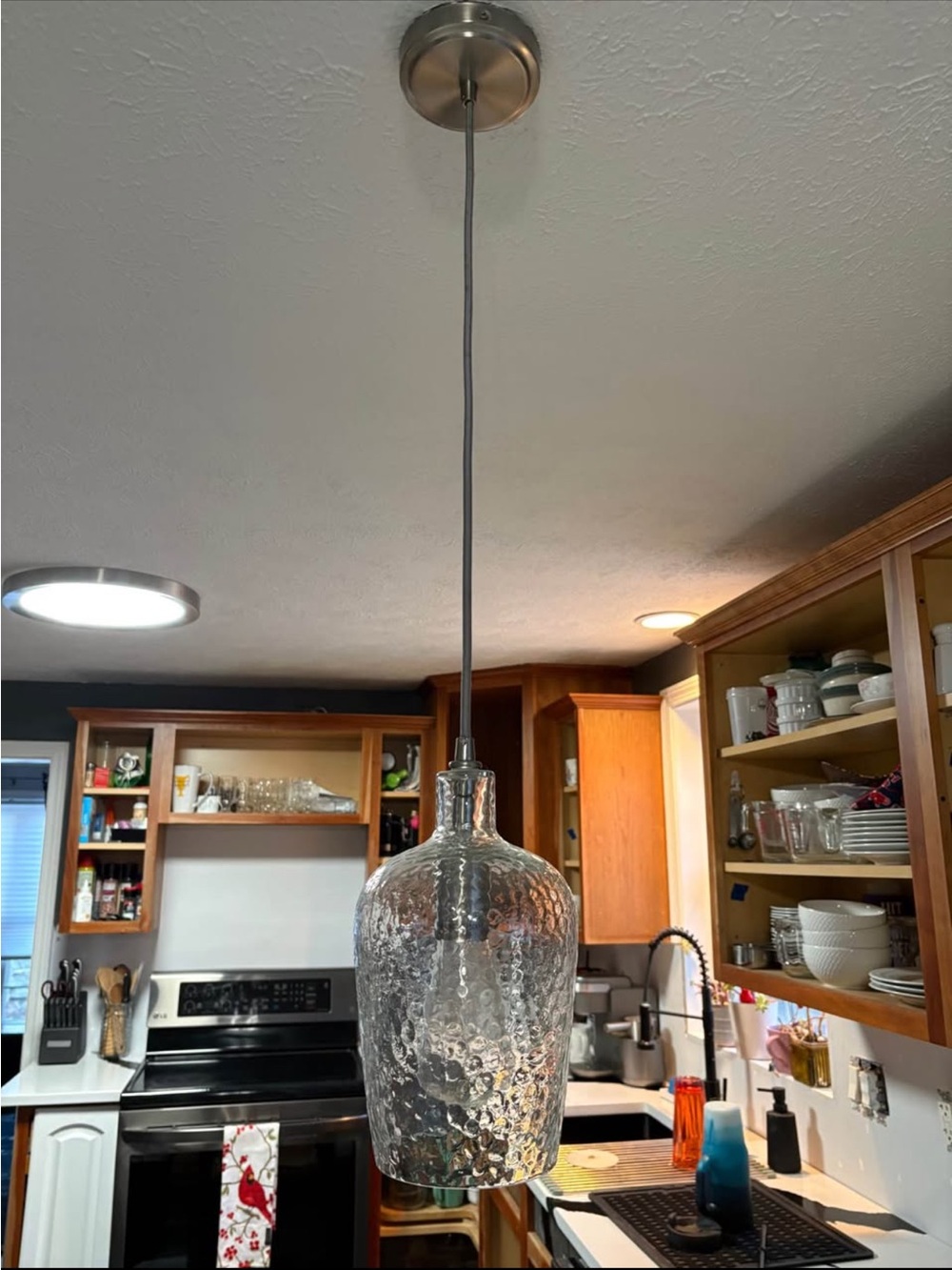 Textured Clear Glass Pendant Light